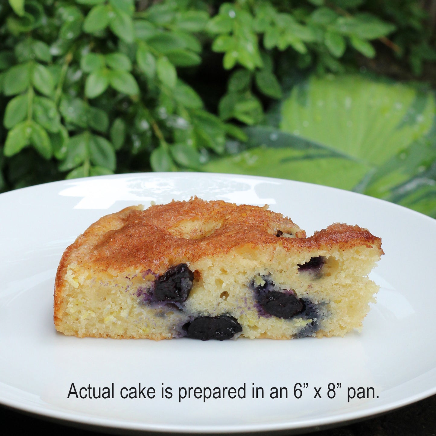 BLUEBERRY LEMON Cake