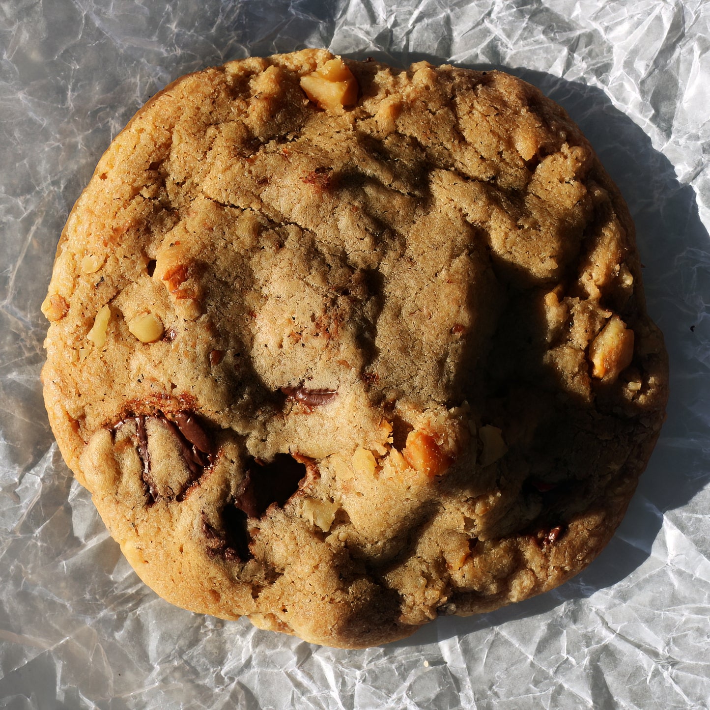 CHOCOLATE CHUNK Cookies with WALNUTS
