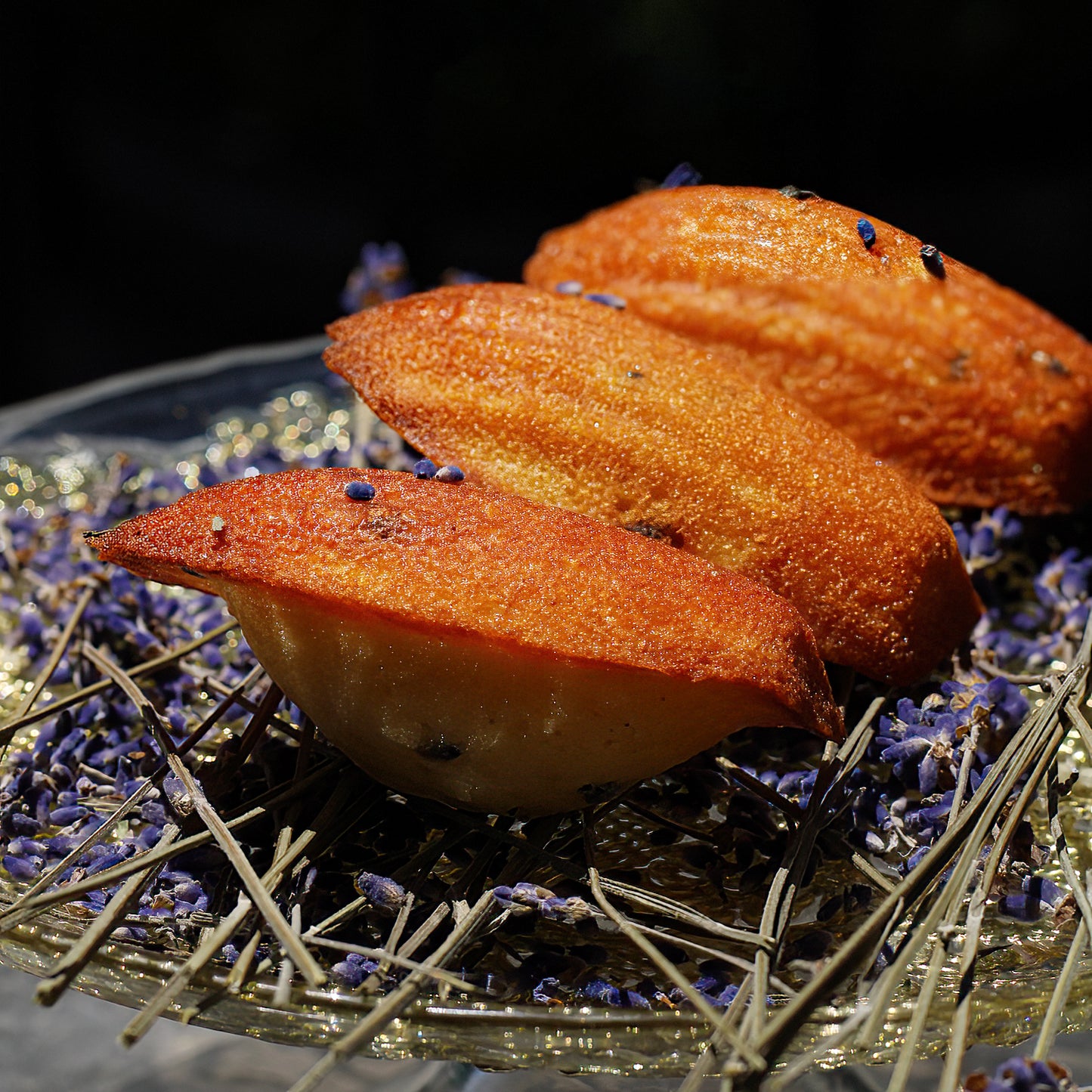 LAVENDER & HONEY Madeleines