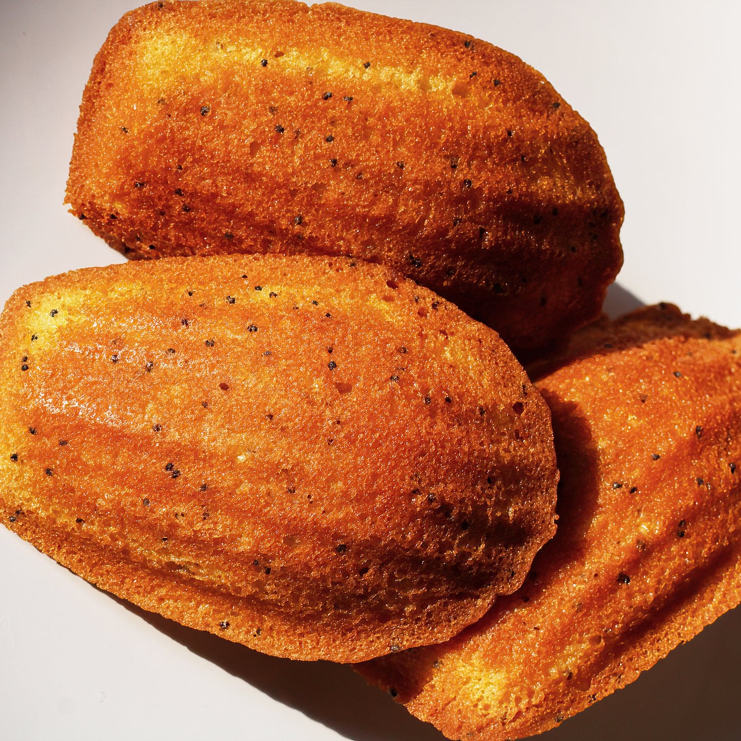 LEMON POPPYSEED Madeleine